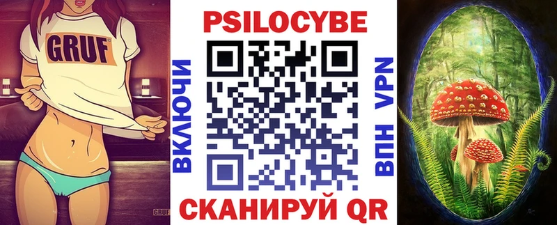 Купить закладки  Михайловск  Псилоцибиновые грибы Psilocybine cubensis 